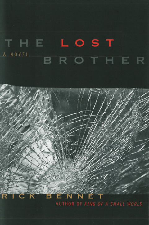 Cover image for book The Lost Brother