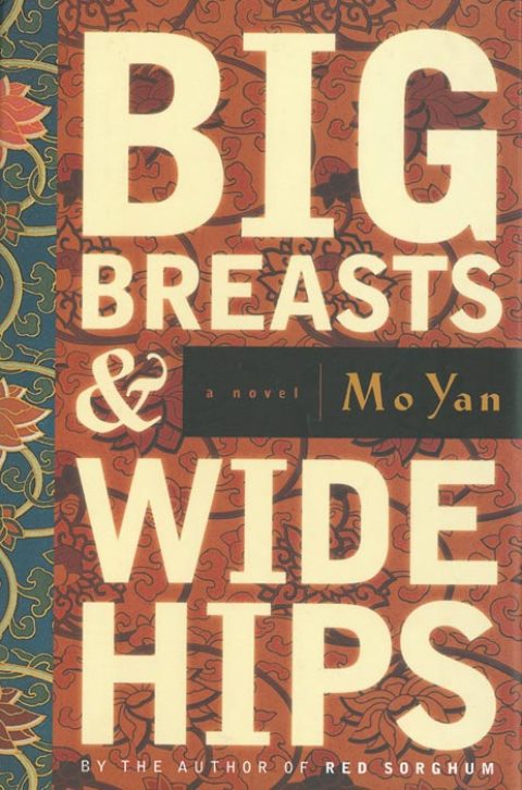 Cover image for book Big Breasts and Wide Hips