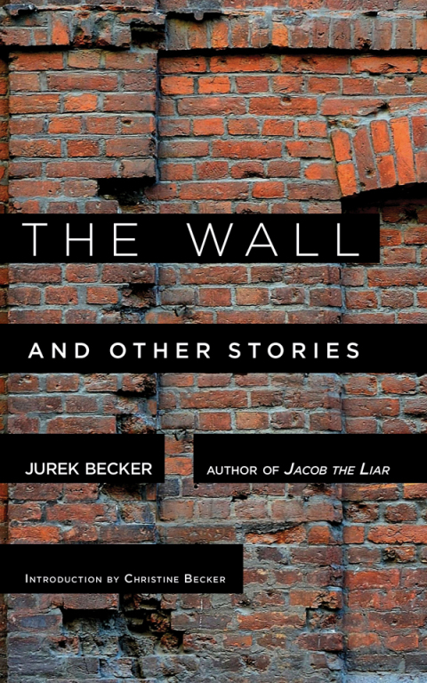 Cover image for book The Wall