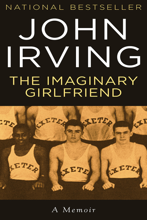 Cover image for book The Imaginary Girlfriend