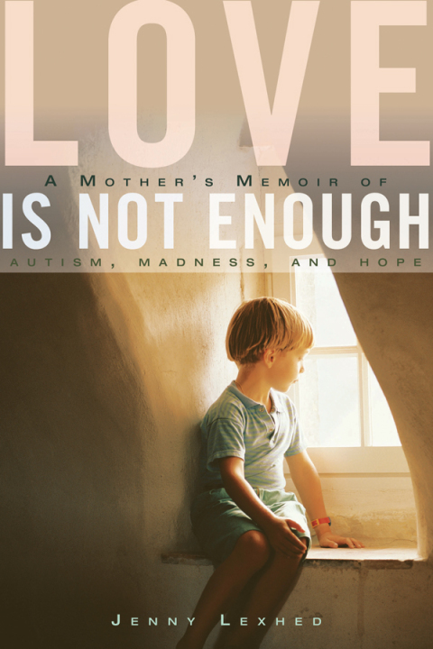 Cover image for book Love Is Not Enough