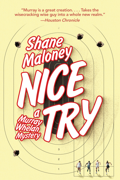 Cover image for book Nice Try