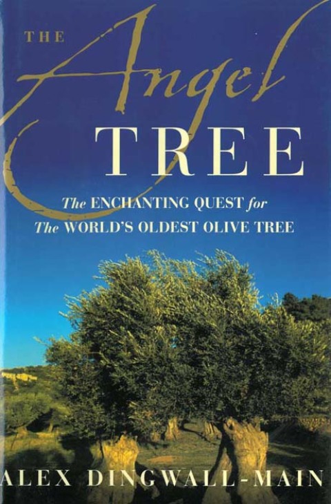 Cover image for book The Angel Tree