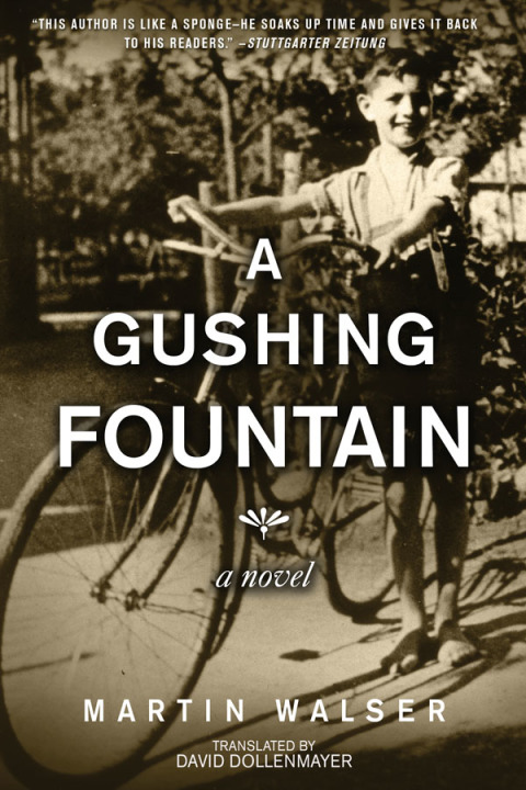 Cover image for book A Gushing Fountain
