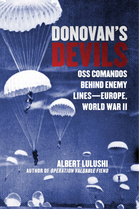 Cover image for book Donovan's Devils