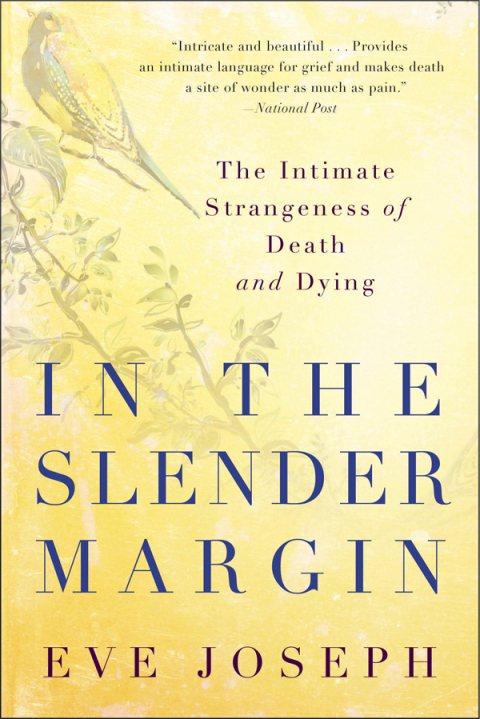 Cover image for book In the Slender Margin