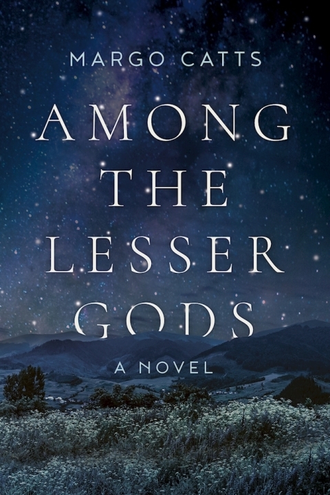 Cover image for book Among the Lesser Gods
