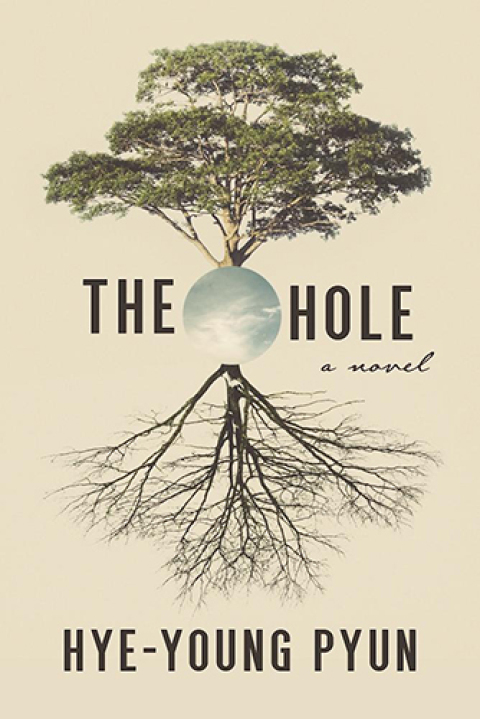 Cover image for book The Hole