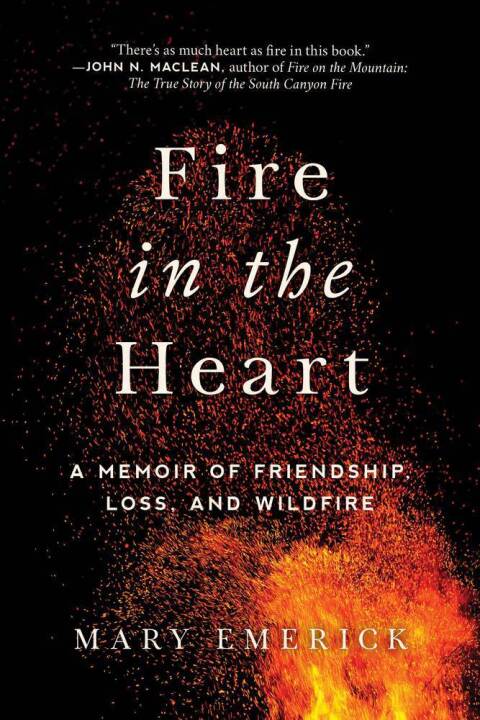 Cover image for book Fire in the Heart