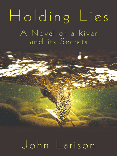 Cover image for book Holding Lies