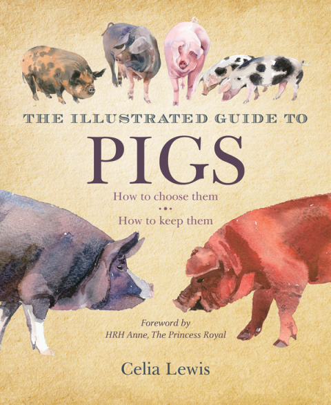 Cover image for book The Illustrated Guide to Pigs
