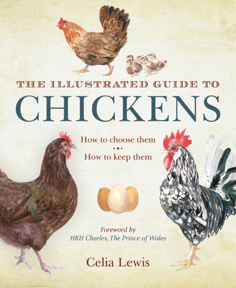Cover image for book The Illustrated Guide to Chickens