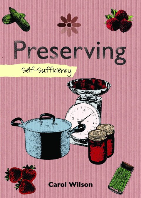 Cover image for book Preserving