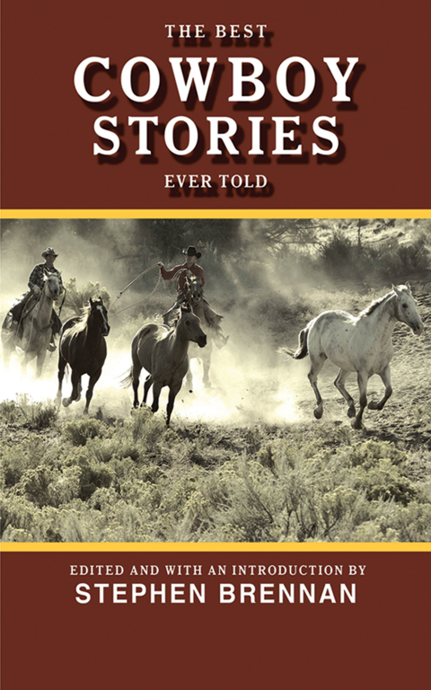 Cover image for book The Best Cowboy Stories Ever Told