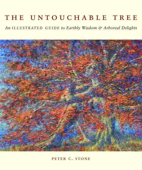 Cover image for book The Untouchable Tree