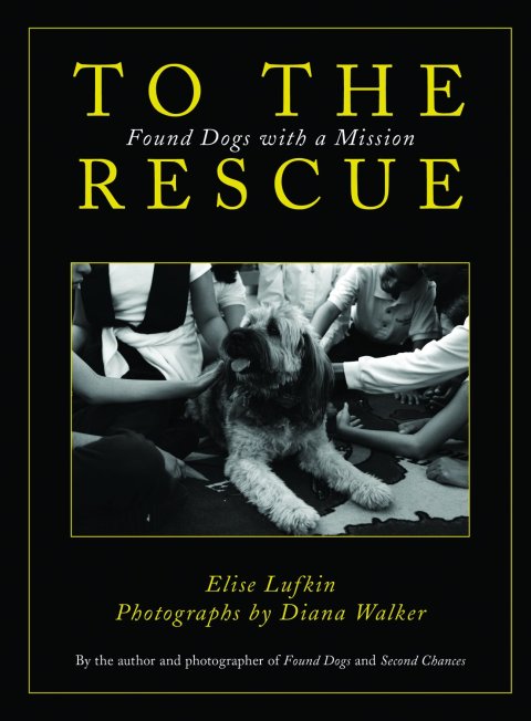 Cover image for book To the Rescue
