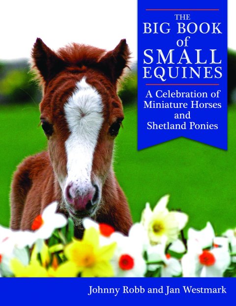 Cover image for book The Big Book of Small Equines