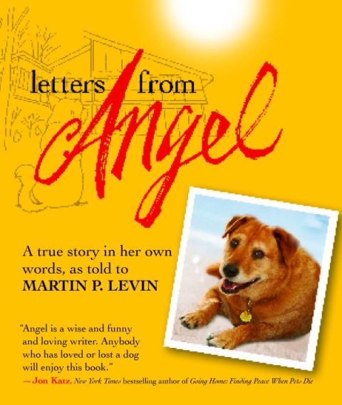 Cover image for book Letters from Angel