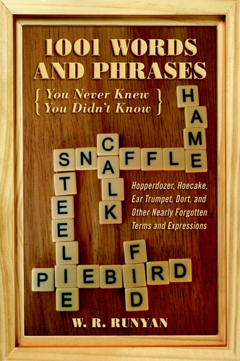 Cover image for book 1,001 Words and Phrases You Never Knew You Didn't Know