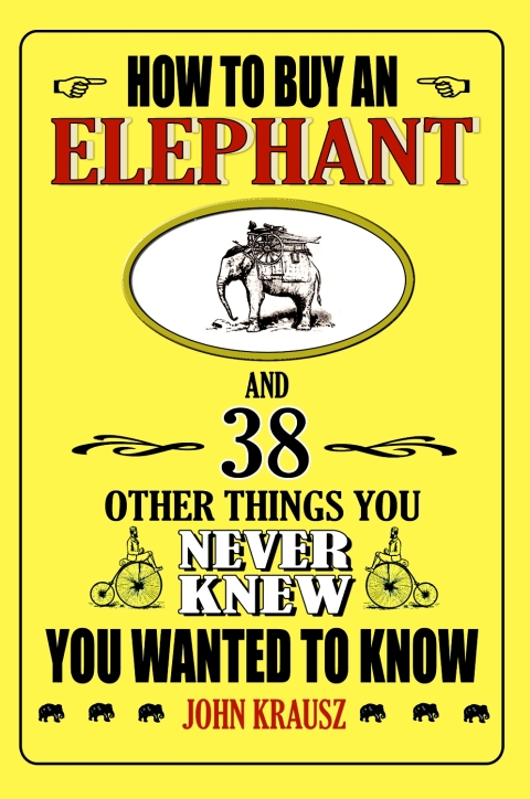 Cover image for book How to Buy an Elephant and 38 Other Things You Never Knew You Wanted to Know
