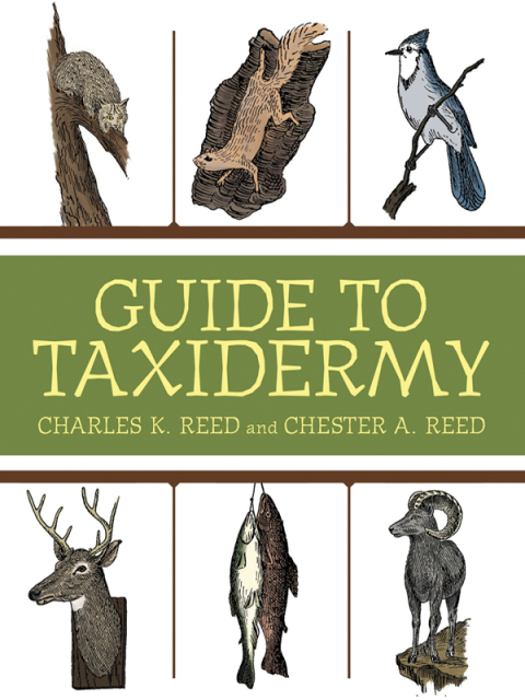 Cover image for book Guide to Taxidermy