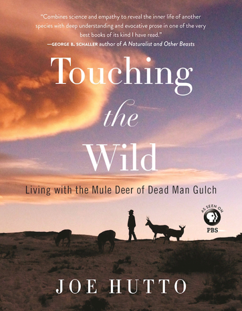 Cover image for book Touching the Wild