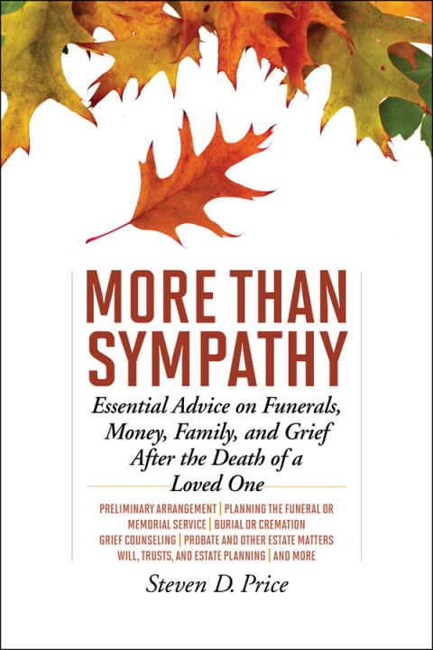 Cover image for book More Than Sympathy