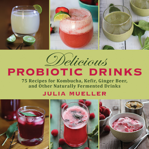 Cover image for book Delicious Probiotic Drinks