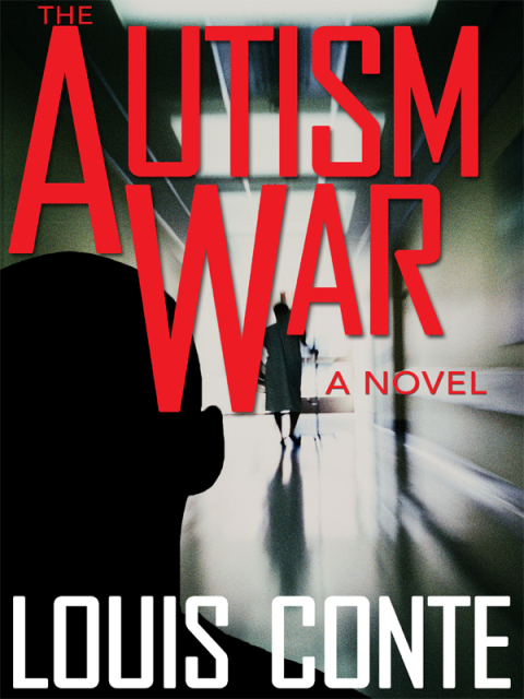 Cover image for book The Autism War