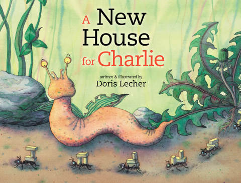 Cover image for book A New House for Charlie