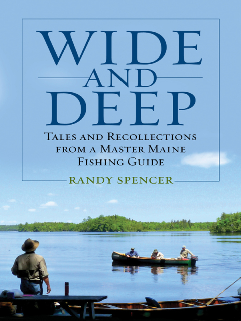 Cover image for book Wide and Deep