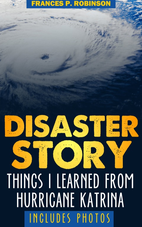 Cover image for book Disaster Story