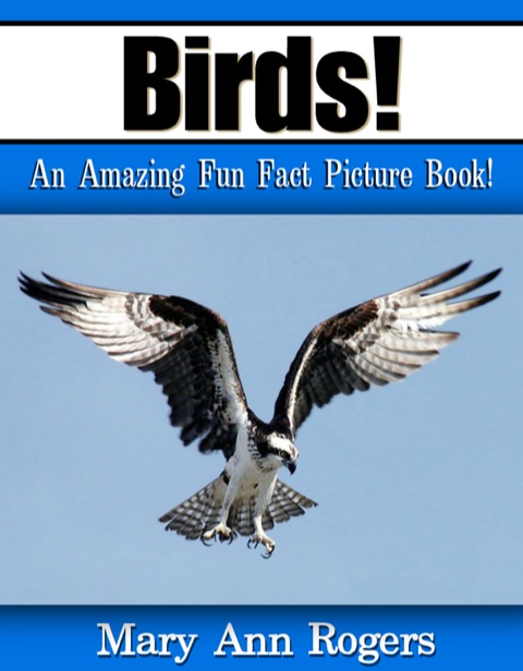 Cover image for book Birds: An Amazing Fun Fact Picture Book