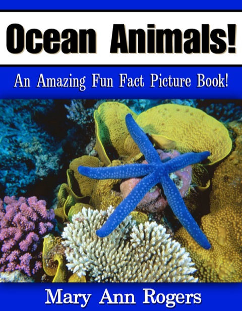 Cover image for book Ocean Animals: An Amazing Fun Fact Picture Book