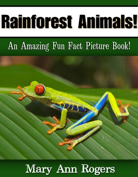Cover image for book Rainforest Animals: An Amazing Fun Fact Picture Book