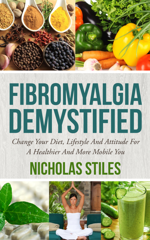 Cover image for book Fibromyalgia Demystified
