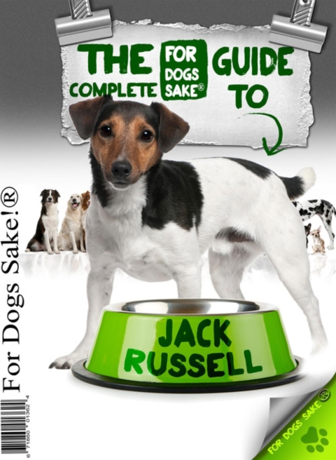 Cover image for book All About Jack Russells
