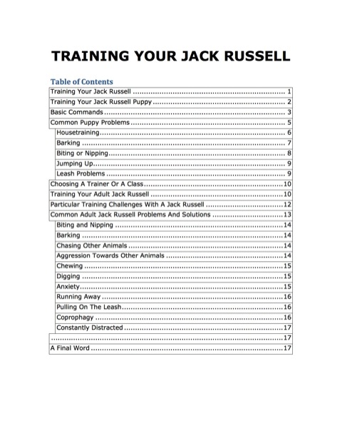 Cover image for book How to Train your Jack Russell