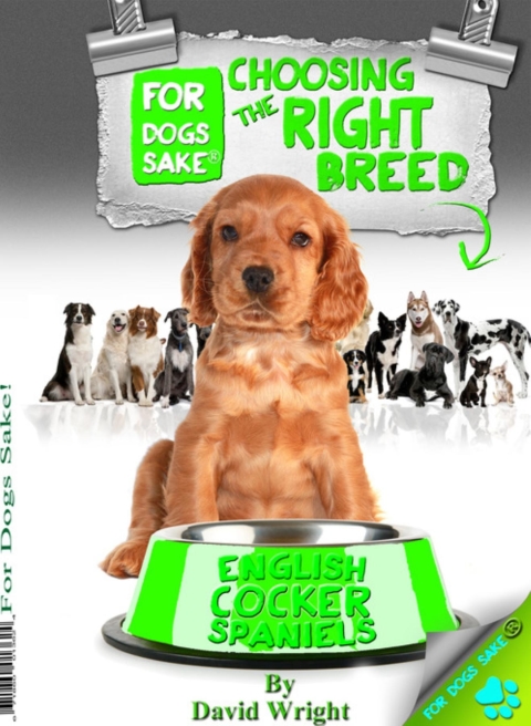 Cover image for book Choosing the Right Breed - English Cocker Spaniels