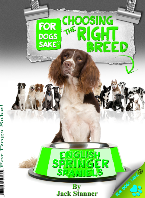 Cover image for book Choosing the Right Breed - English Springer Spaniels