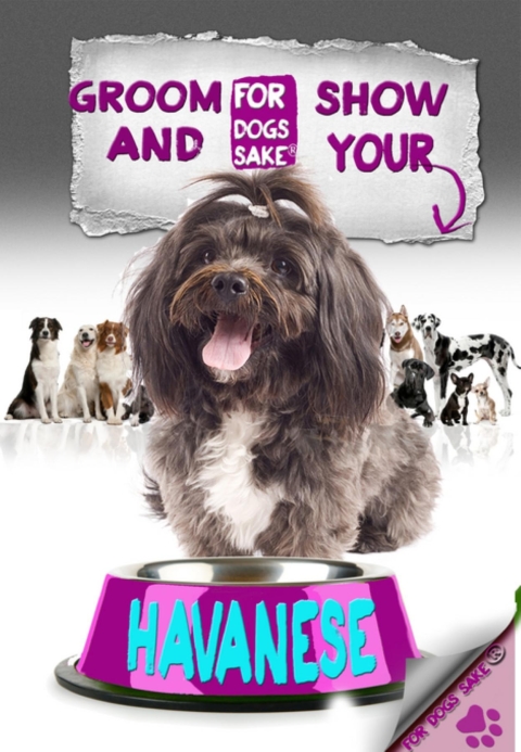Cover image for book Groom & Show your Havanese