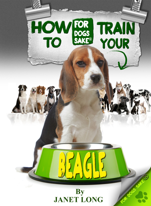 Cover image for book How to Train your Beagle