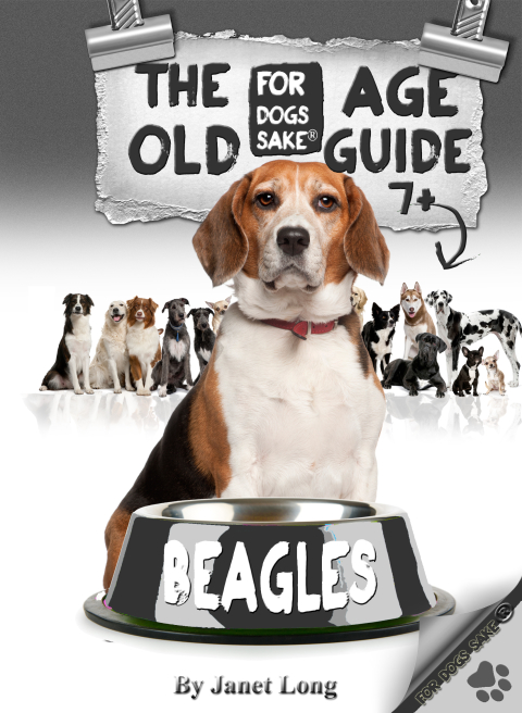 Cover image for book The Beagle Old Age Care Guide 7+