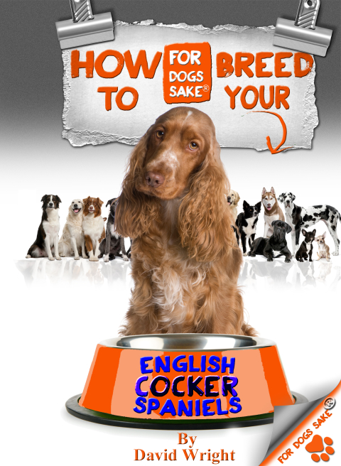 Cover image for book How to Breed your English Cocker Spaniel