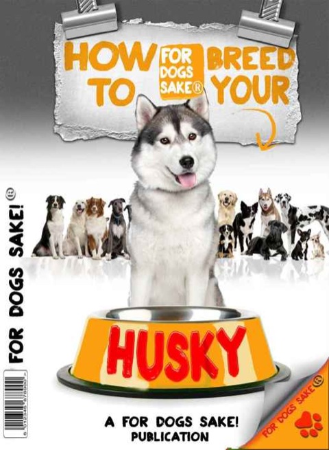 Cover image for book How to Breed your Husky