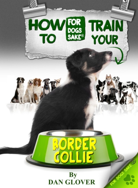 Cover image for book How to Train Your Border Collie