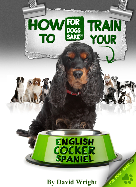 Cover image for book How to Train Your English Cocker Spaniel