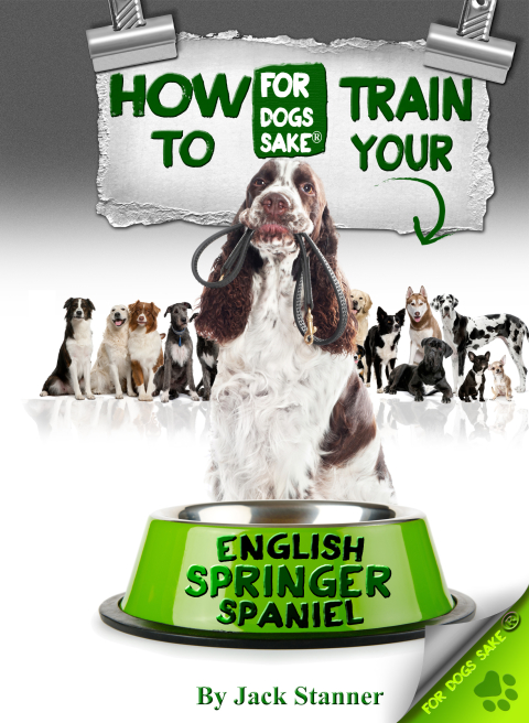 Cover image for book How to Train Your English Springer Spaniel