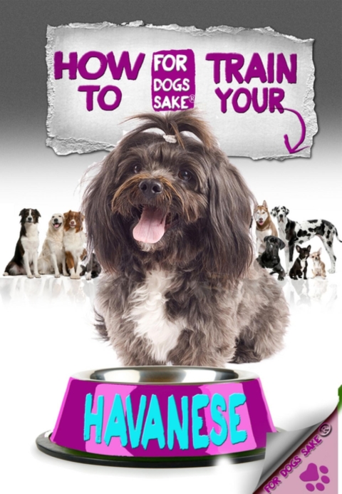 Cover image for book How to Train Your Havanese