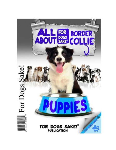 Cover image for book All About Border Collie Puppies